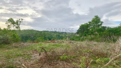 Land For Sale Near Me - Find Your Perfect Plot Today